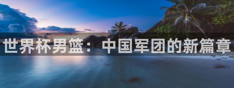 美国世界杯：世界杯男篮：中国军团的新篇章