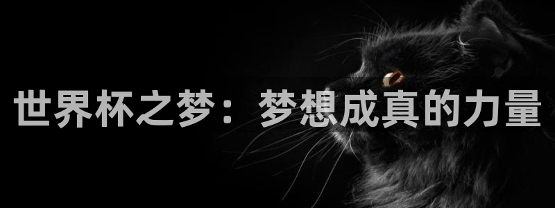 世界杯直播网：世界杯之梦：梦想成真的力量