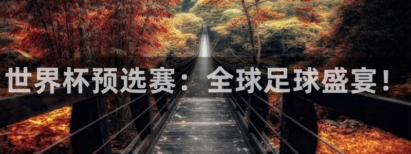 足球世界杯赛程：世界杯预选赛：全球足球盛宴！