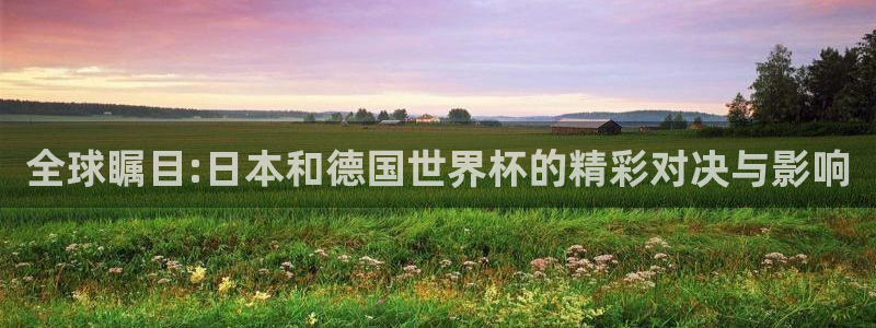 美国世界杯：全球瞩目:日本和德国世界杯的精彩对决与影响