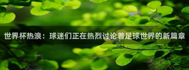 足球世界杯2026年赛程时间表：世界杯热浪：球迷们正在热烈讨论着足球世界的新篇章