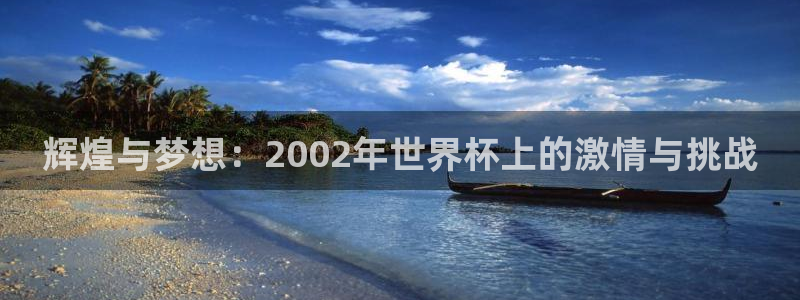 世界杯欧洲预选赛赛程：辉煌与梦想：2002年世界杯上的激情与挑战