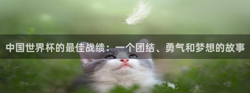2026 世界杯：中国世界杯的最佳战绩：一个团结、勇气和梦想的故事