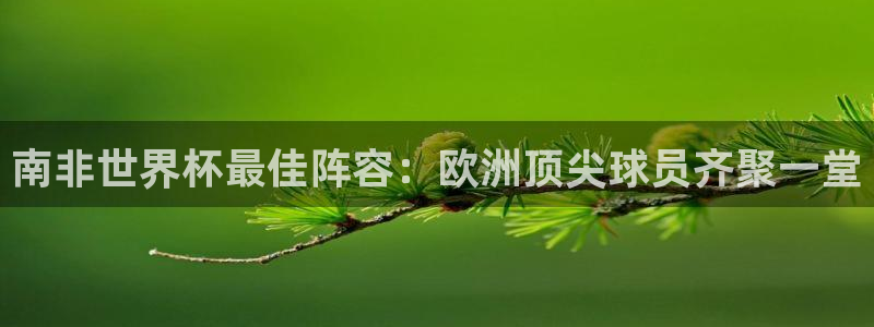世界杯系列赛：南非世界杯最佳阵容：欧洲顶尖球员齐聚一堂