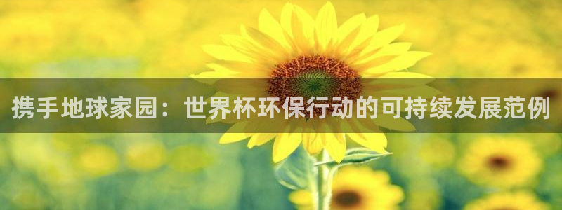 世界杯球赛：携手地球家园：世界杯环保行动的可持续发展范例