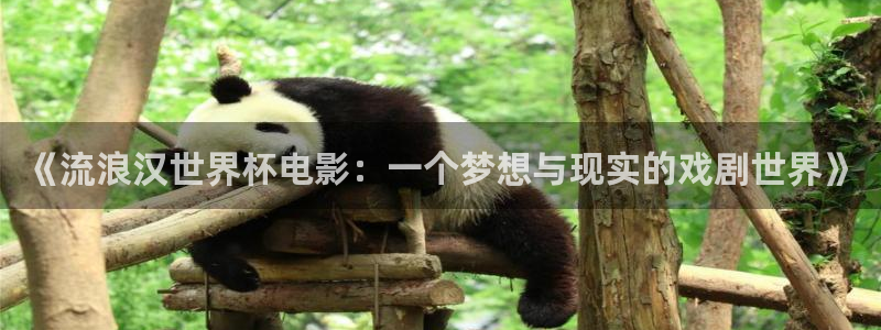 欧联杯直播：《流浪汉世界杯电影：一个梦想与现实的戏剧世界》