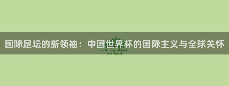 世界杯预选赛排名：国际足坛的新领袖：中国世界杯的国际主义与全球关怀